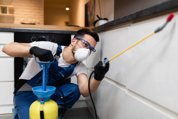 Best Cockroach Control Services  in Brooklet, GA