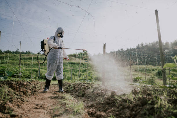 Best Best Pest Control Companies  in Brooklet, GA