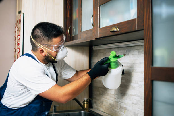Best Flea Control Services  in Brooklet, GA