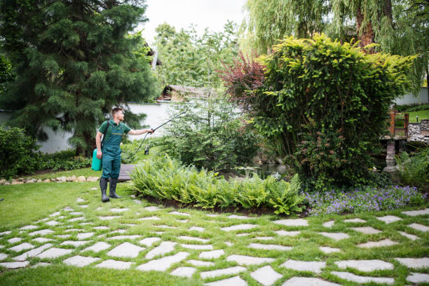 Best Affordable Pest Control Services  in Brooklet, GA