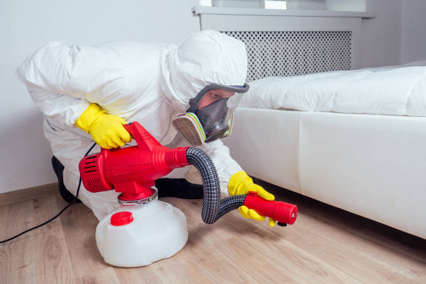 Best Bed Bug Extermination  in Brooklet, GA