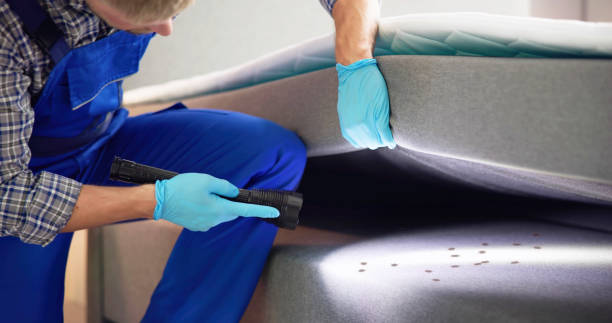 Best Cockroach Control Services  in Brooklet, GA