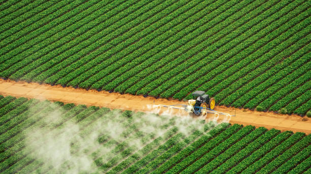 Best Termite Control Services  in Brooklet, GA