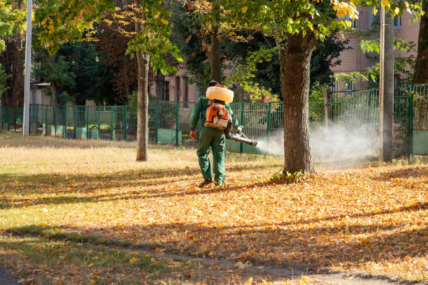 Best Affordable Pest Control Services  in Brooklet, GA