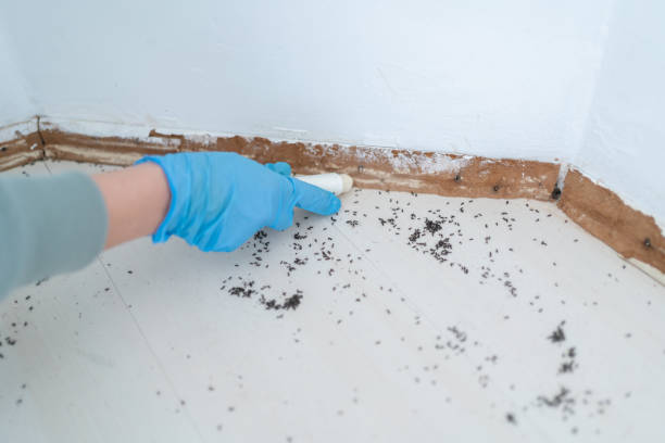 Best Residential Pest Control  in Brooklet, GA