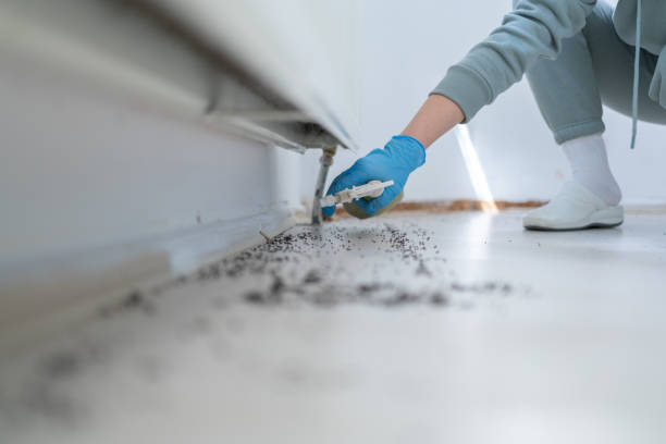 Best Pest Prevention Services  in Brooklet, GA