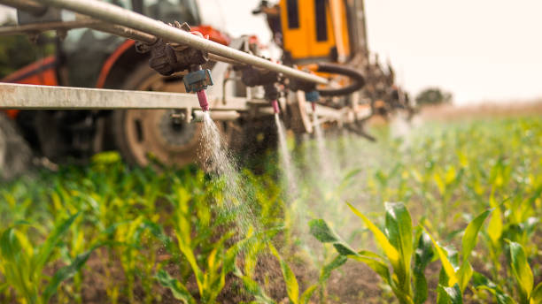 Best Mosquito Control Services  in Brooklet, GA