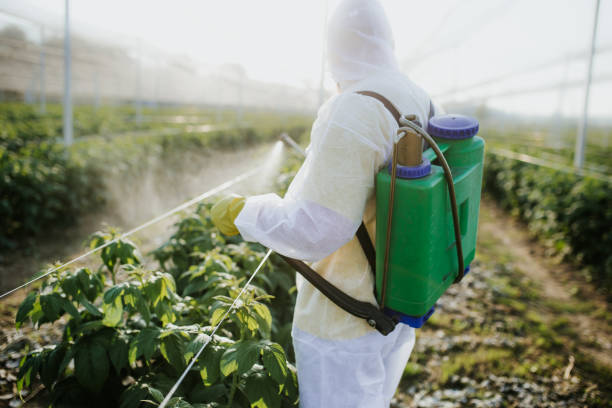 Best Rat Extermination Near Me  in Brooklet, GA